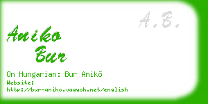 aniko bur business card